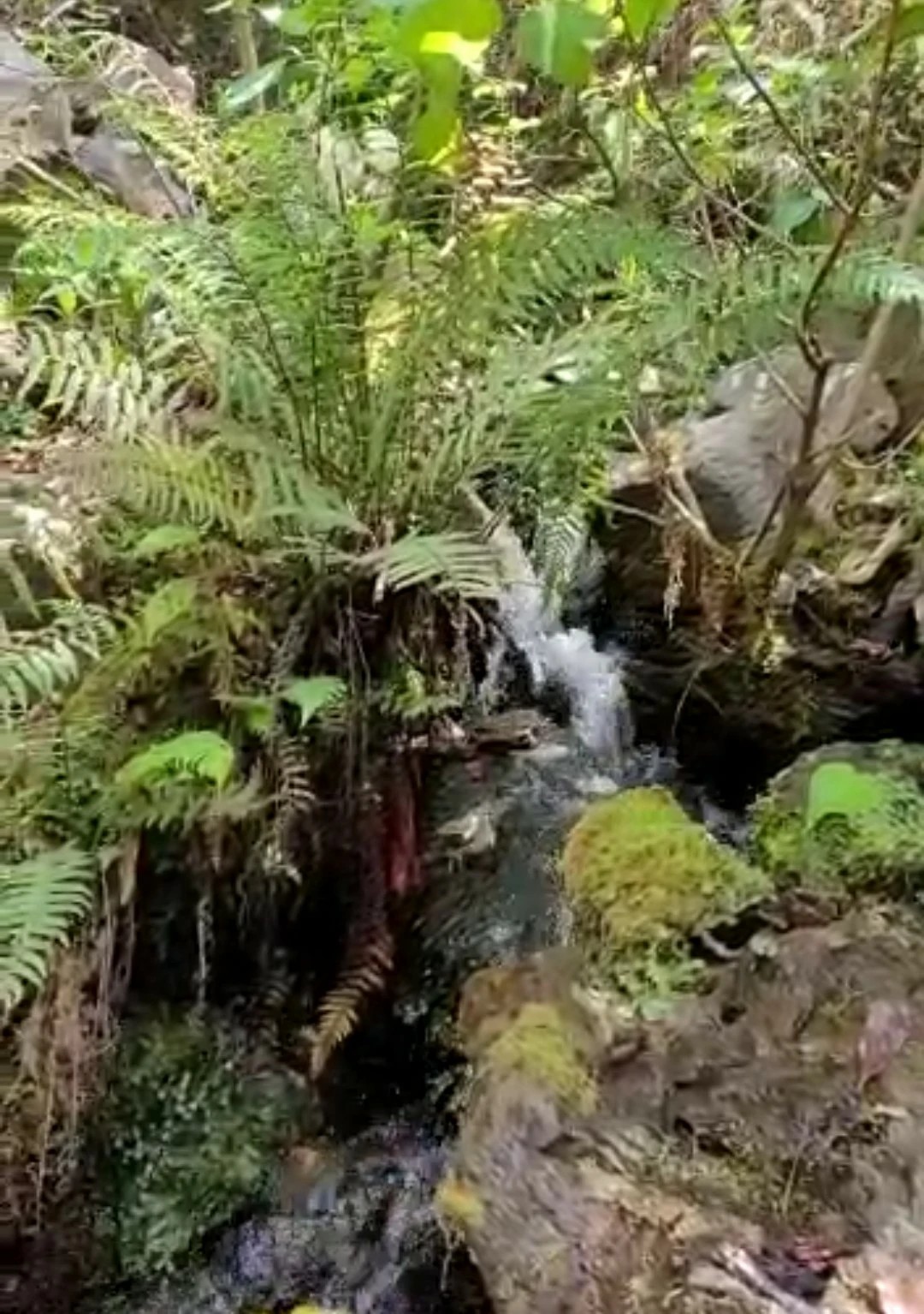 Screenshot_2022-11-16-16-42-12-06_99c04817c0de5652397fc8b56c3b3817