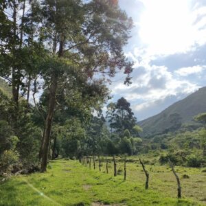 Se vende finca de 130 hectáreas (321 Acres) al sur oeste de Vilcabamba...