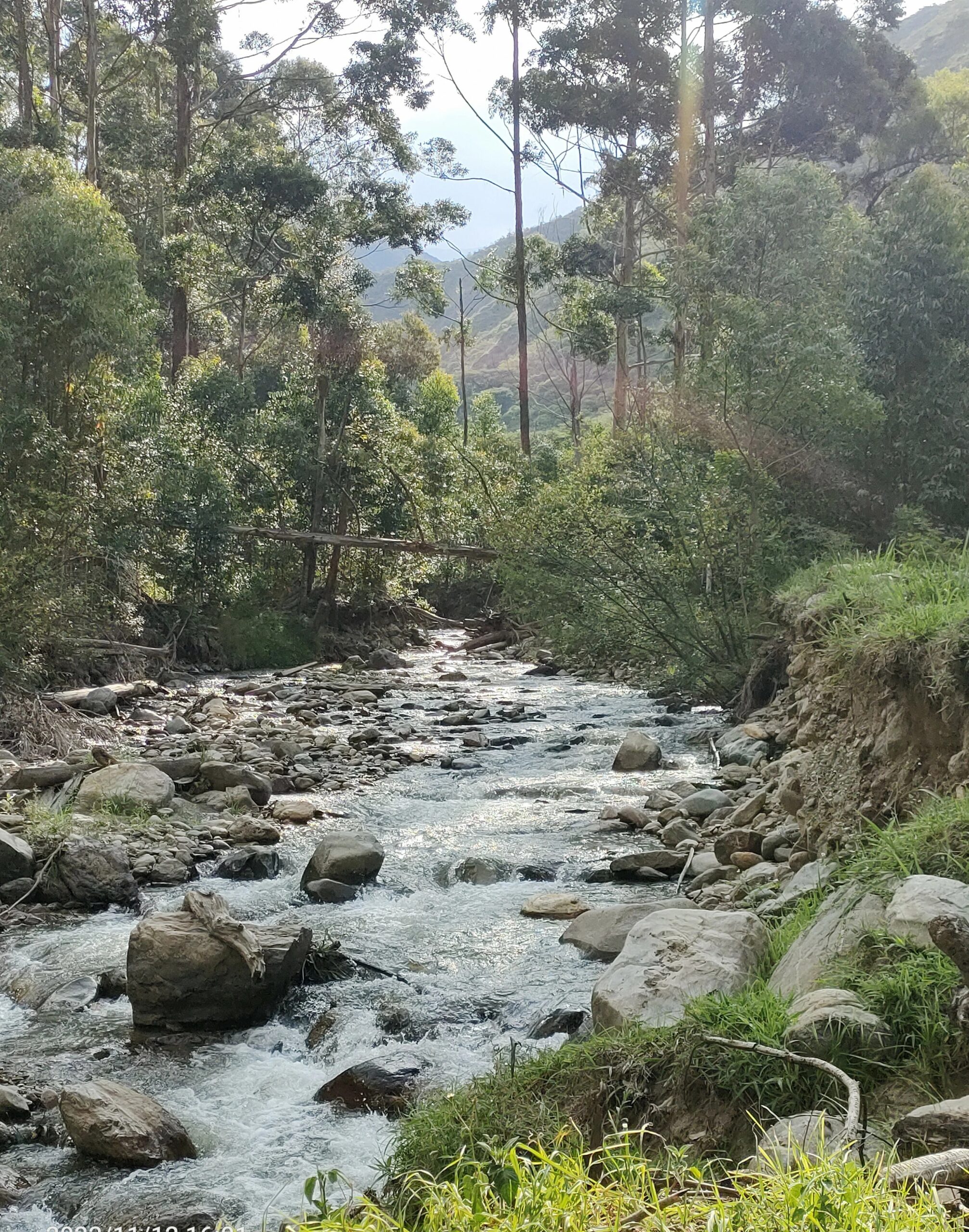 IMG20221112160117 (1)