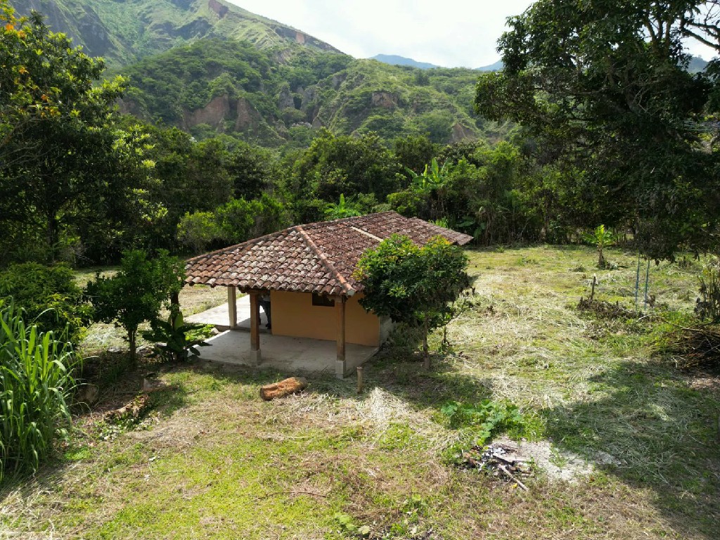 IMG-20240414-WA0033~1