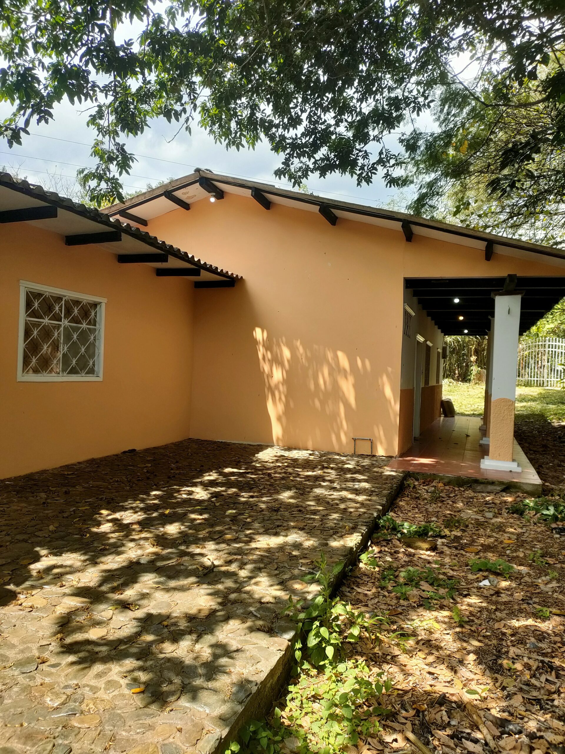 IMG20240413110216