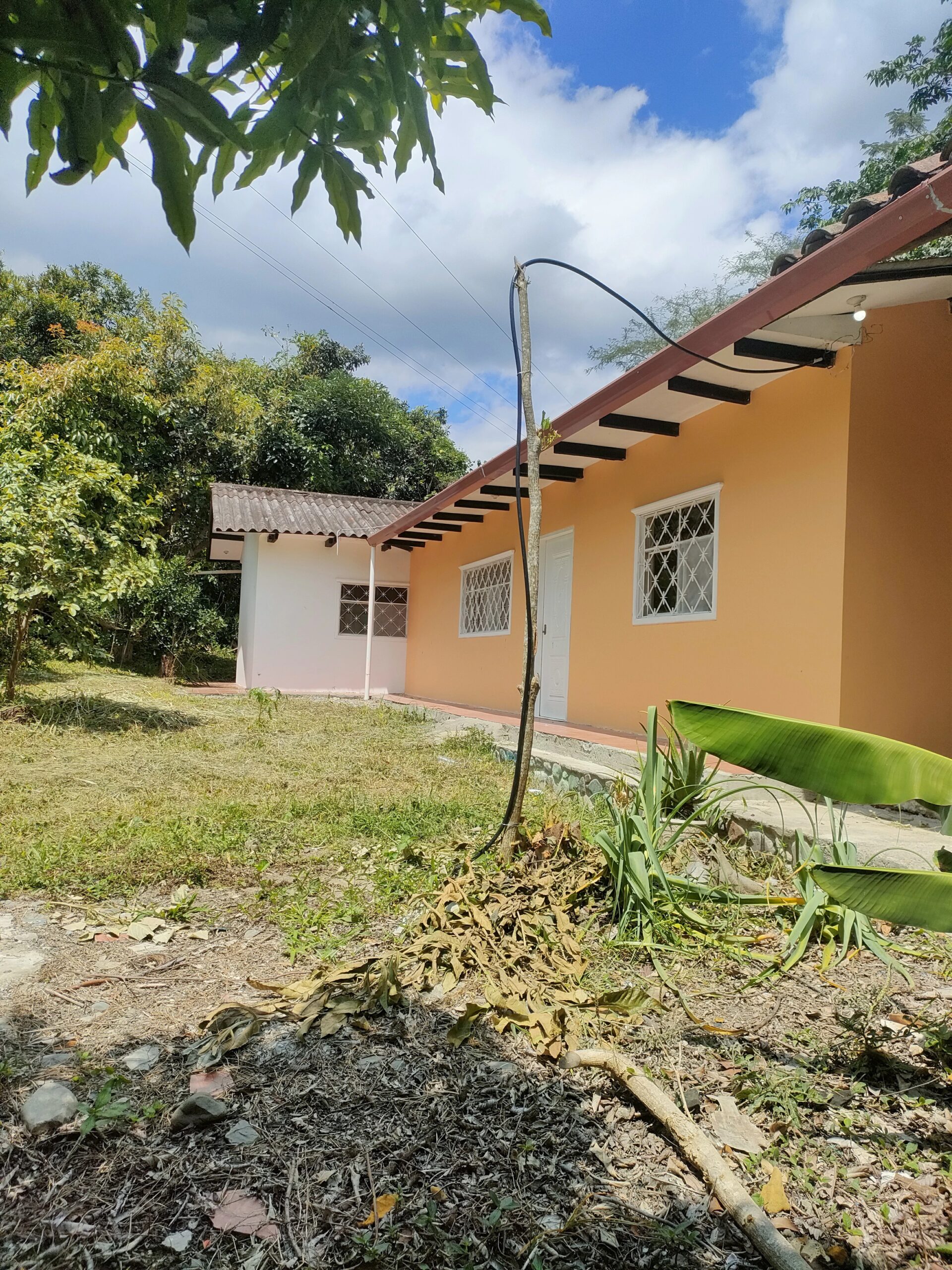 IMG20240413110157