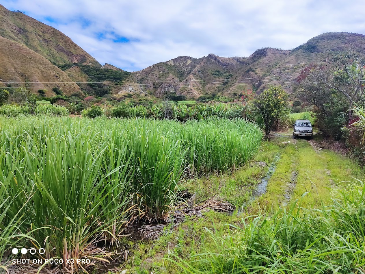 IMG_20220522_095809 (1)