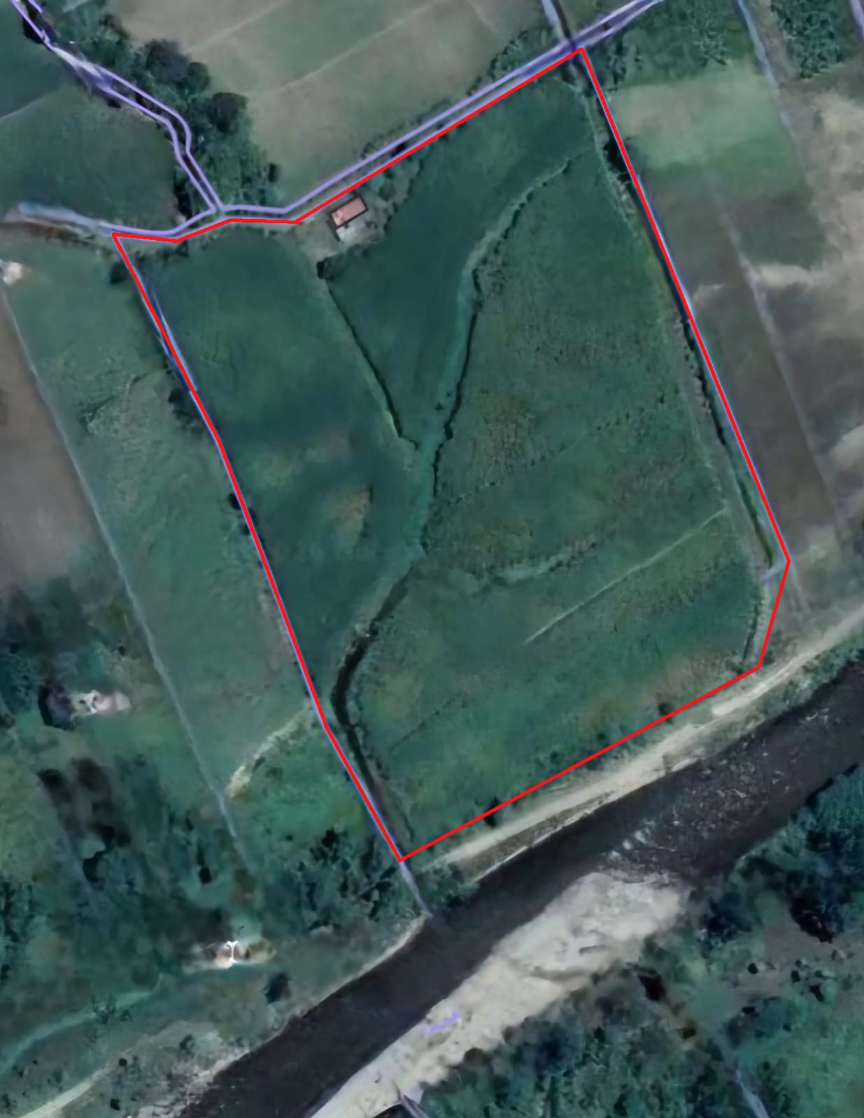 WhatsApp Image 2026-03-04 at 10.24.52