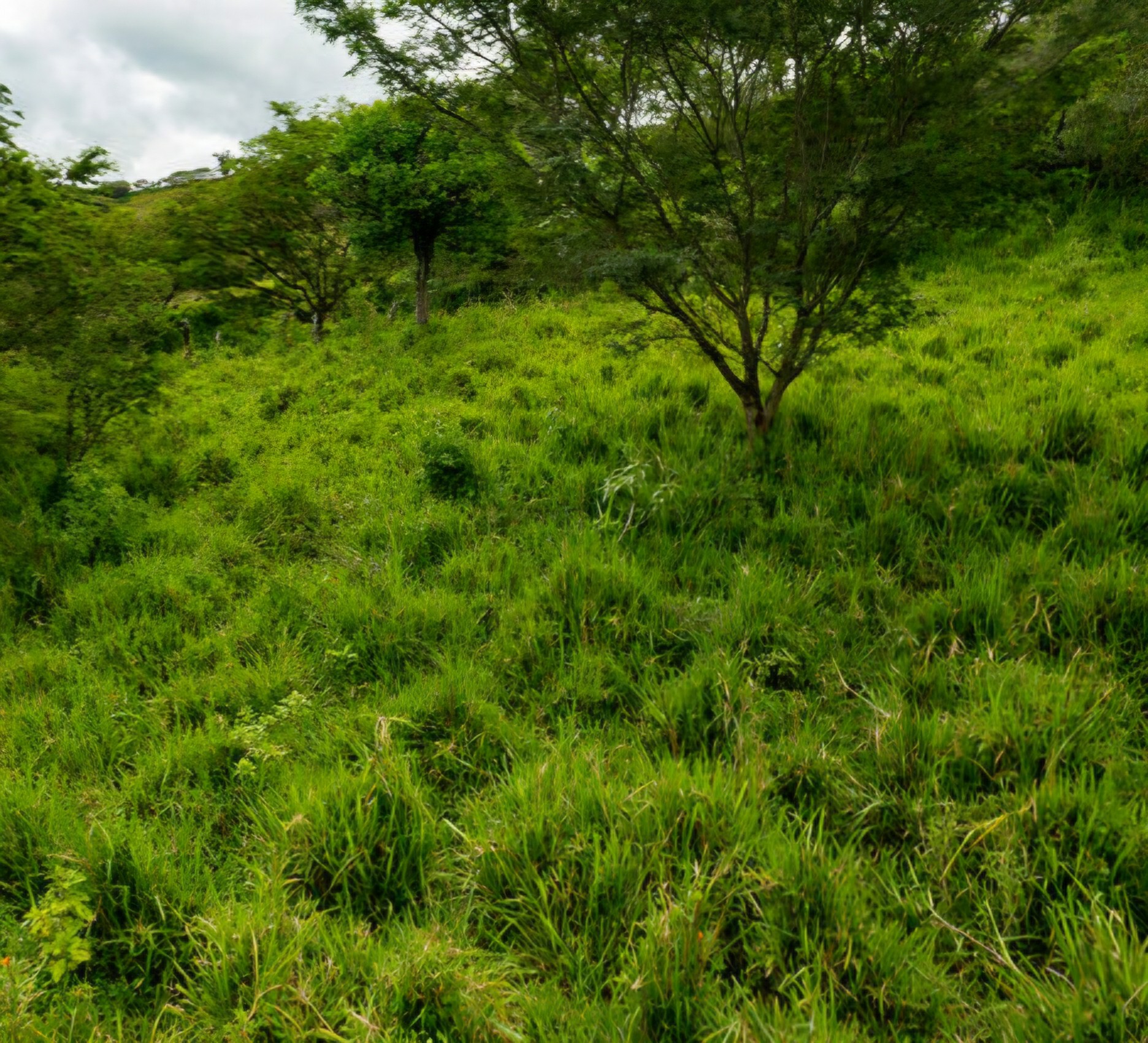 dfaf53_3a333916fd104aab85fceadddc7d9fab~mv2