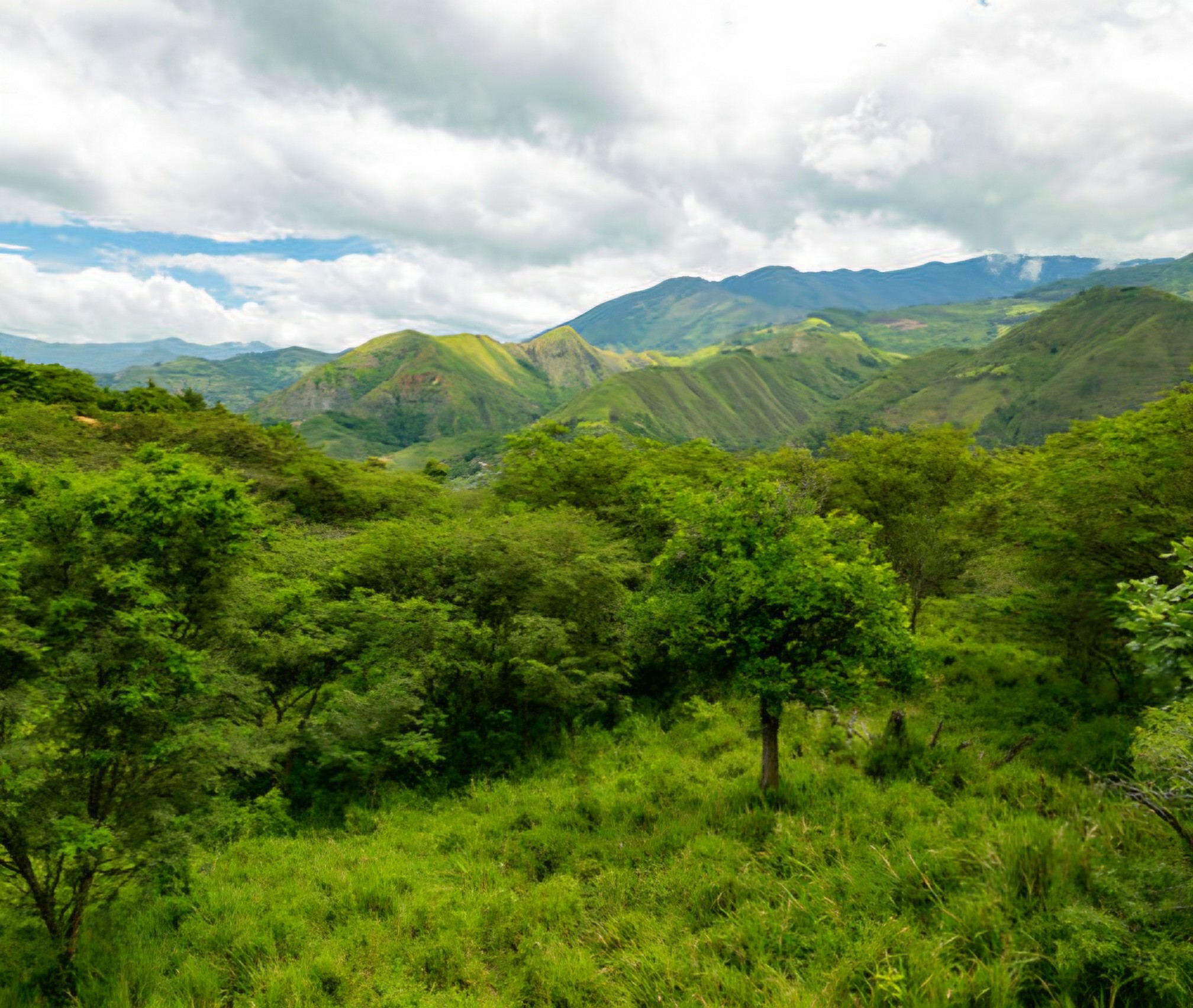 dfaf53_bc929d3826ea4a249007a66d1d0f3242~mv2