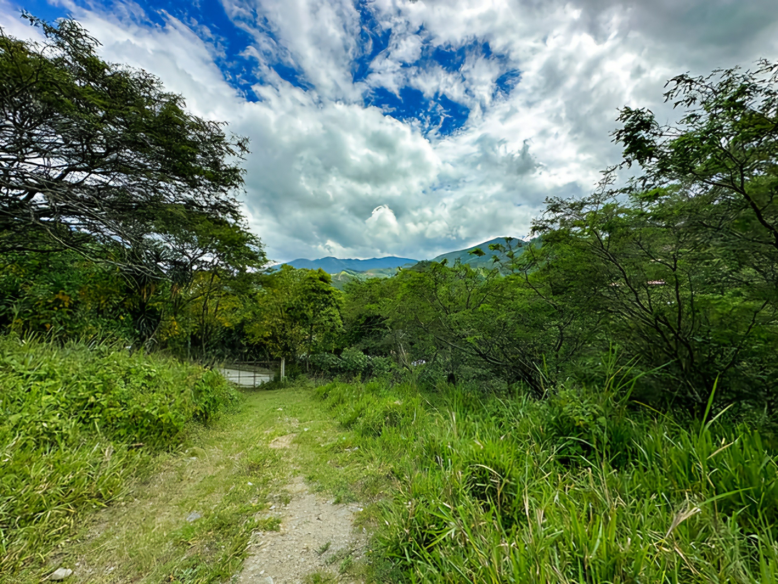 dfaf53_d1933528f2f44e60bfd739bbb5323f95~mv2