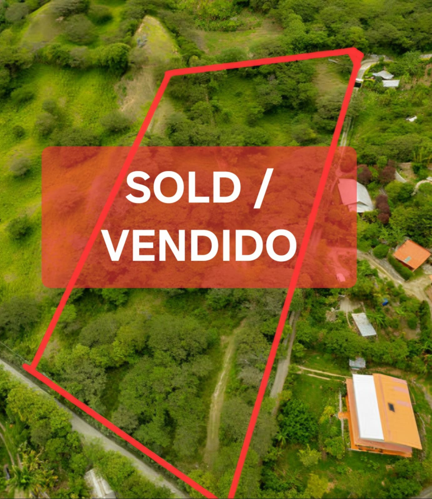 WhatsApp Image 2026-01-27 at 16.23.01