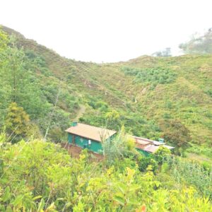 SE VENDE  FINCA CON CASA CERCA EN VILCABAMBA.
