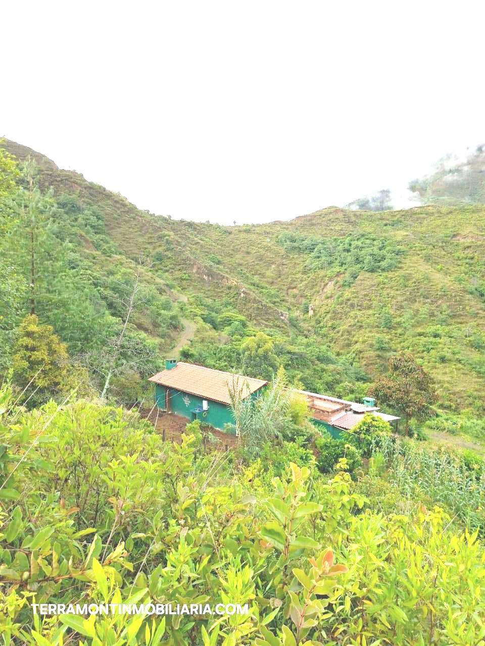 SE VENDE FINCA CON CASA CERCA EN VILCABAMBA.