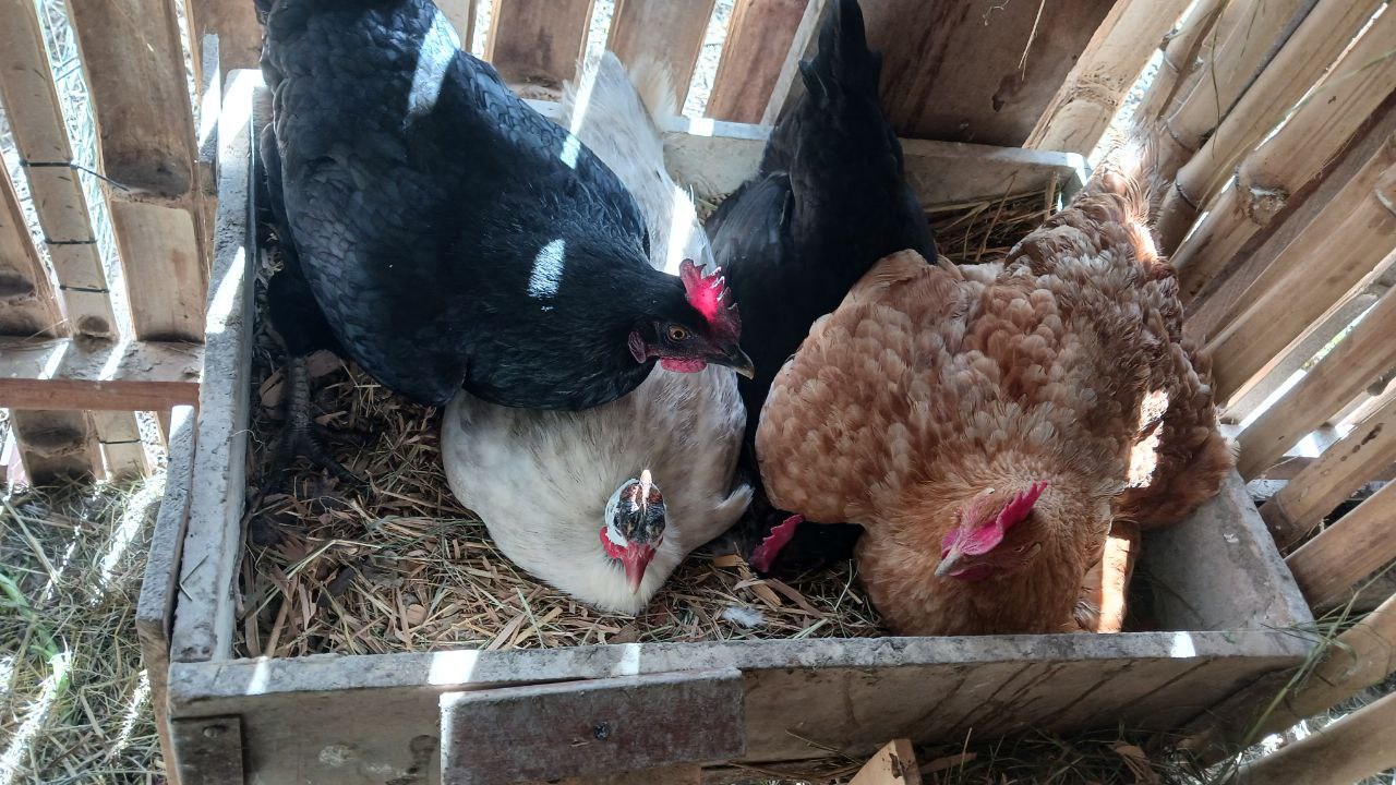 IMG_20260225_113202_678