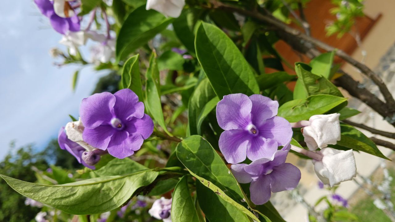 IMG_20260225_113203_157