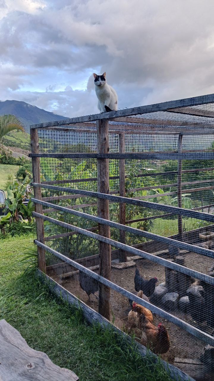 IMG_20260225_113506_827