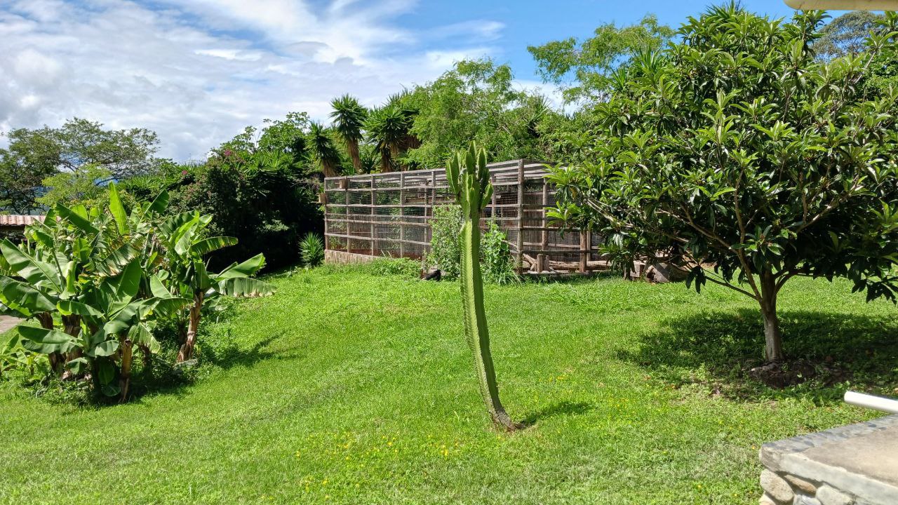 IMG_20260225_113507_461