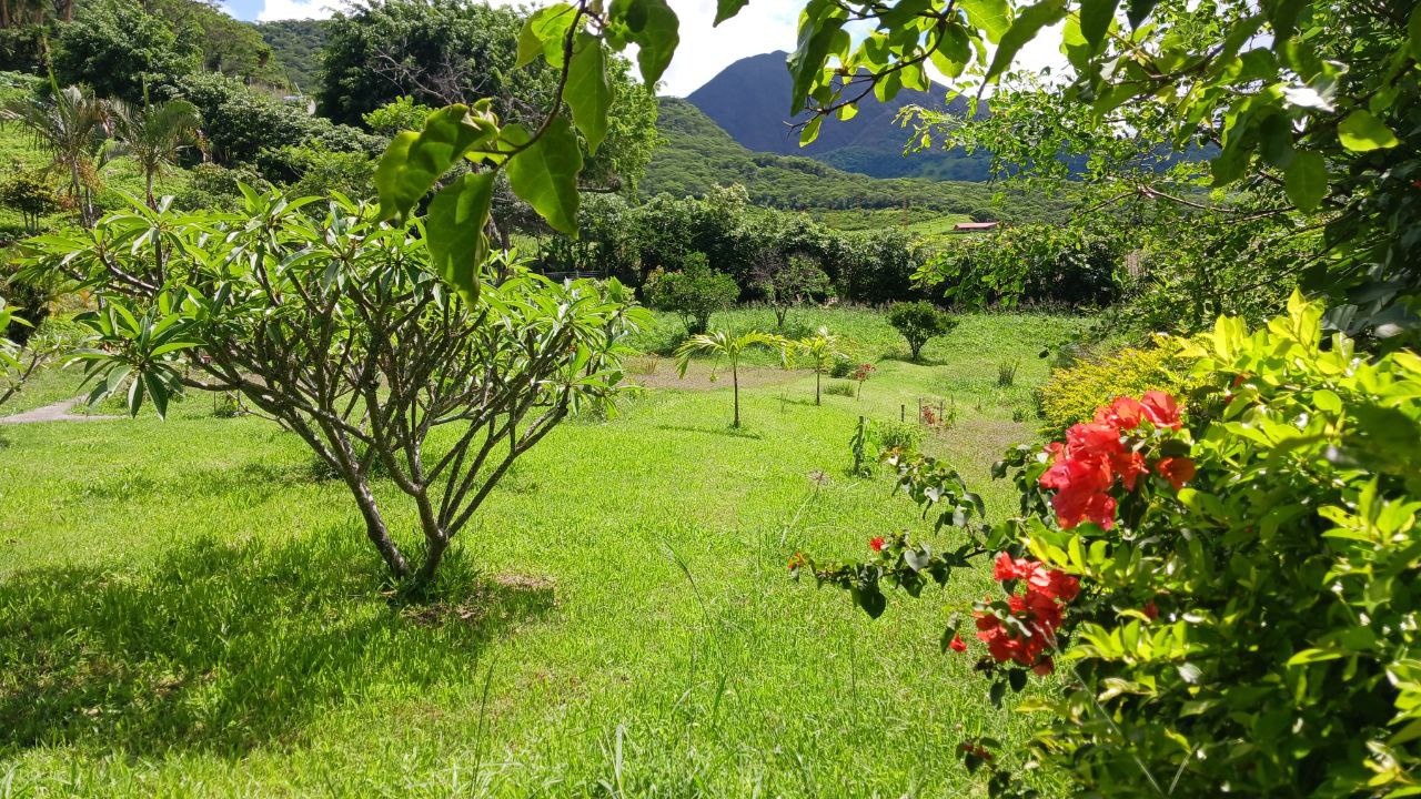 IMG_20260225_113626_263