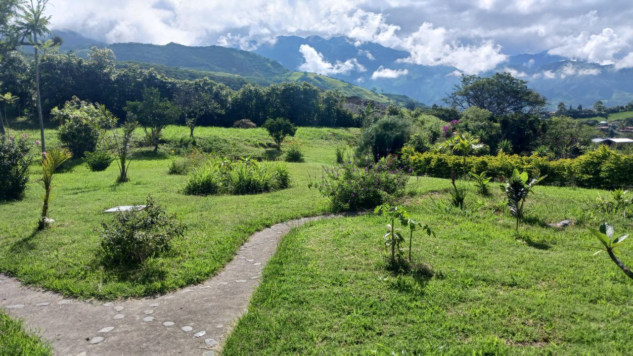 IMG_20260225_113830_178