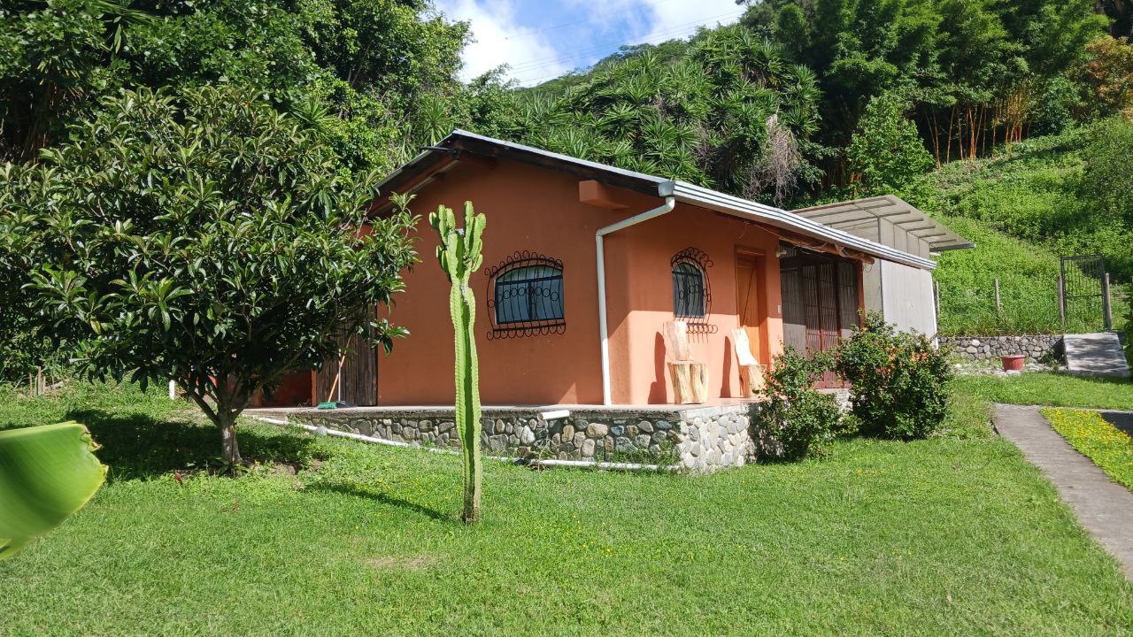 IMG_20260225_113830_319