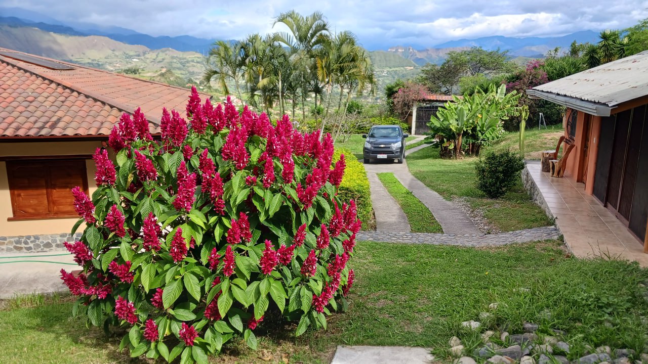 IMG_20260225_113850_921