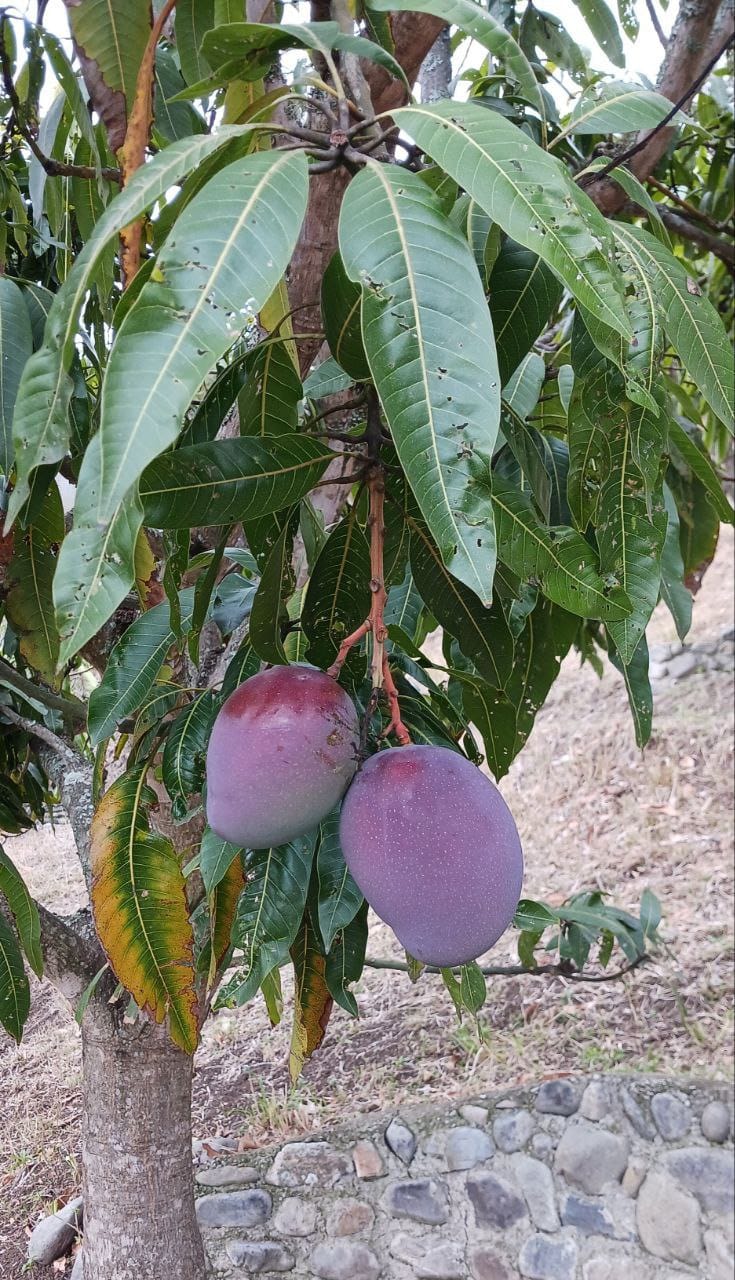 WhatsApp Image 2026-02-25 at 16.10.08