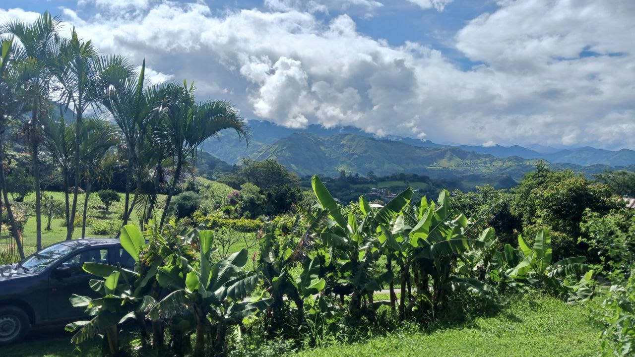 WhatsApp Image 2026-02-25 at 16.10.09 (1)