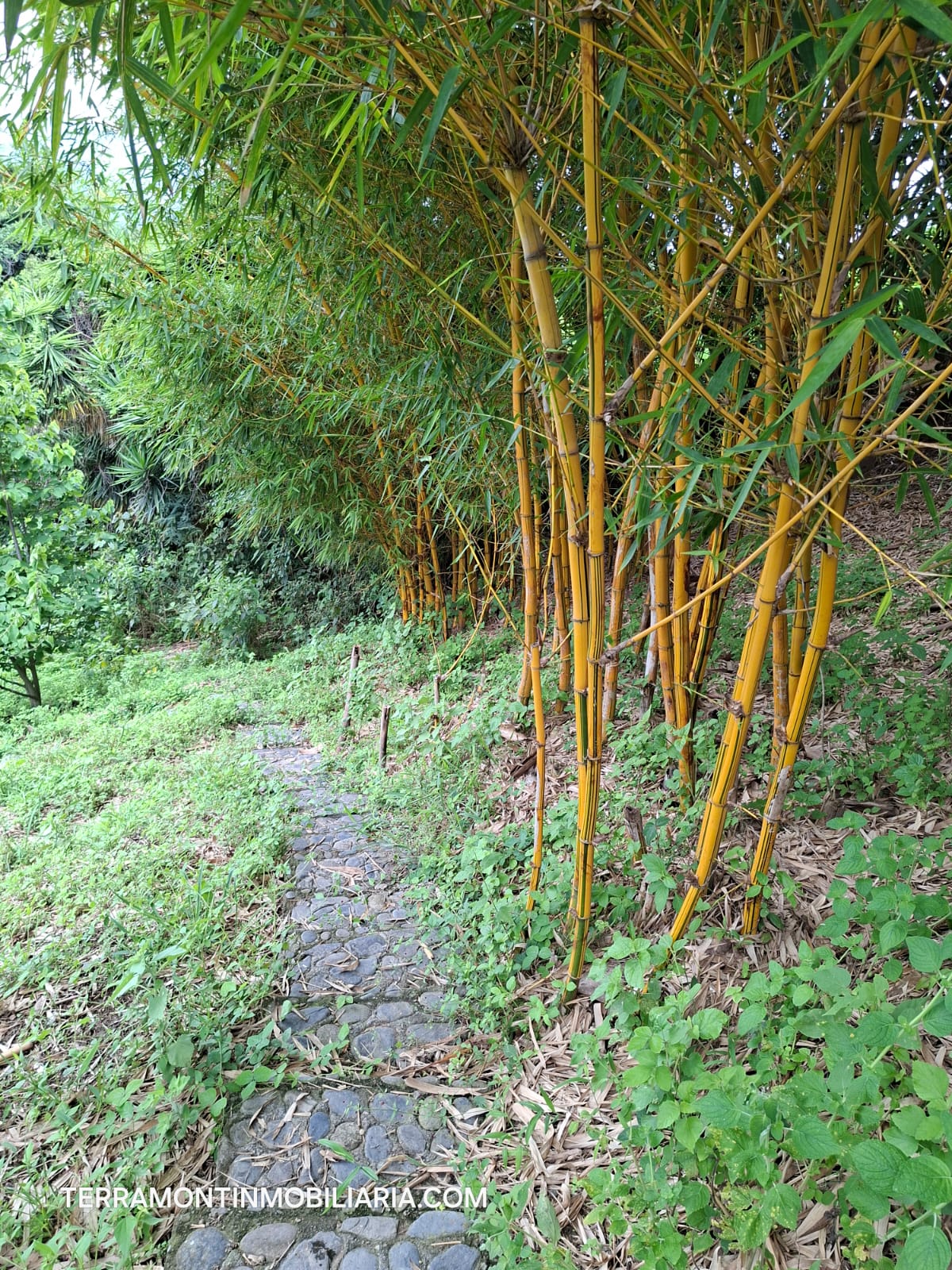 WhatsApp Image 2026-02-25 at 16.10.09