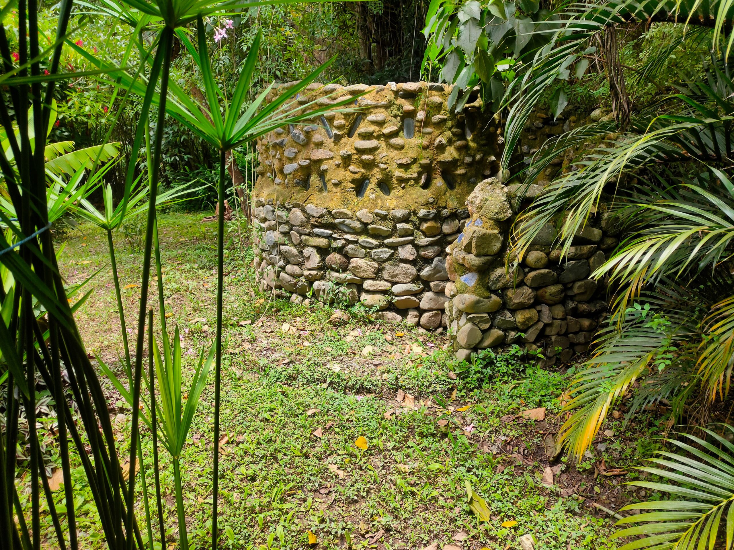 IMG-20251217-WA0094(1)