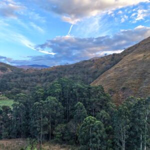 SE VENDE TERRENO JUNTO AL RIO EN VILCABAMBA.