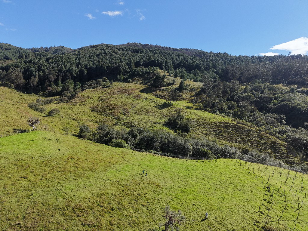 SE VENDE HERMOSA FINCA CERCA DE VILCABAMBA