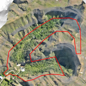 SE VENDE FINCA EN QUINARA, 7,89 HECTÁREAS